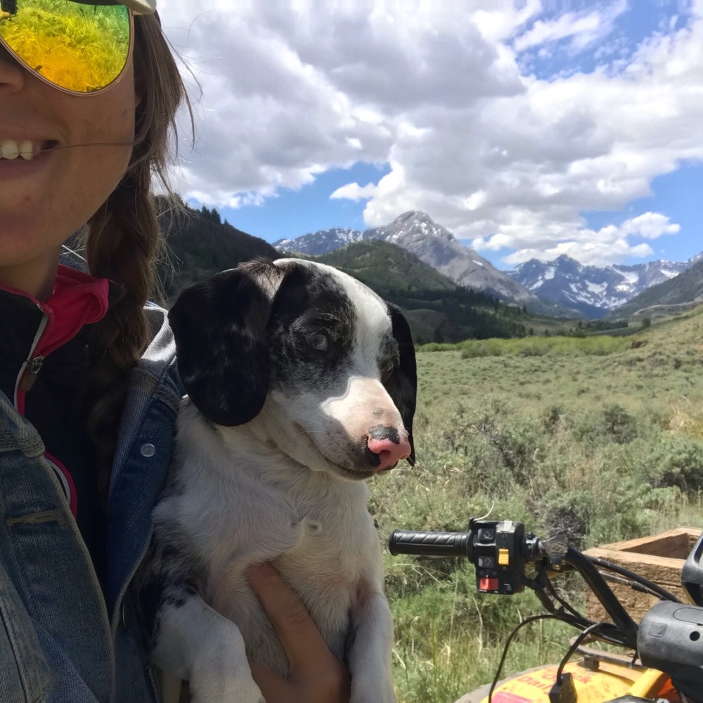 Meet your Posher, Hailey